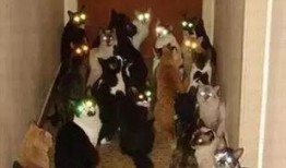 云南吃瓜群众小孩