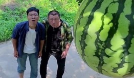 吃瓜获得金牌,瓜界传奇诞生！