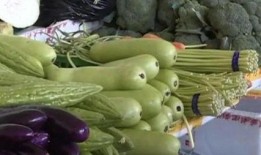 吃瓜中毒最新视频,最新视频揭示惊人内幕