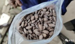 瓜市街吃瓜,夏日里的甜蜜诱惑