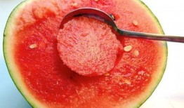 勺子挖瓜吃的成语,智慧食趣