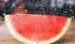 吃瓜水瓶座,揭秘星座背后的趣味故事