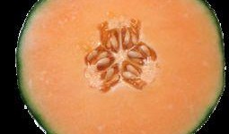 药流后可否吃哈密瓜,哈密瓜的适宜与否