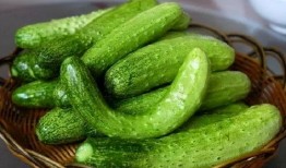 汤圆圆吃瓜,揭秘娱乐圈背后的秘密