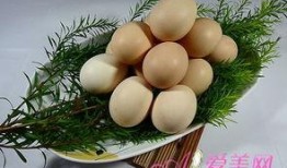 咳嗽吃生瓜蛋,探究饮食与健康的关系