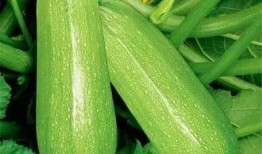 嘉威吃瓜,揭秘娱乐圈幕后风云