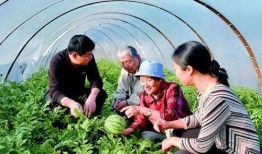 新华网吃瓜,揭秘娱乐圈“吃瓜”背后的真相与趣味