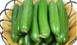 吃云南小瓜会影响药效吗,影响药效的真相揭秘