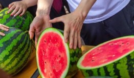 西南技术学院吃瓜