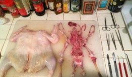 解剖吃瓜事件图片,揭秘人体器官的奇妙之旅