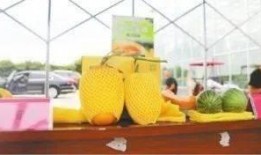 湖北吃瓜科技,揭秘科技圈的那些“瓜”