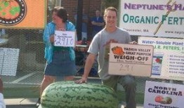 中石油吃瓜群众