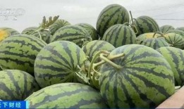 易欣吃瓜,揭秘娱乐圈背后的那些事儿