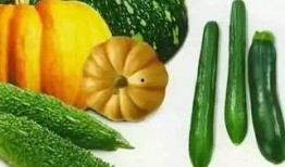 海桂吃瓜,揭秘娱乐圈幕后故事