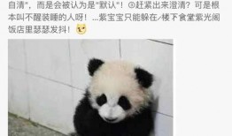 新华网吃瓜,揭秘娱乐圈“吃瓜”背后的真相与趣味