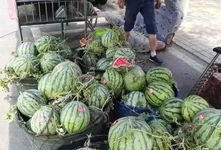 莱州南关吃瓜事件,一场引发热议的街头冲突