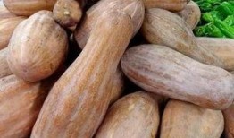 方瓜都怎么吃,解锁美味新境界