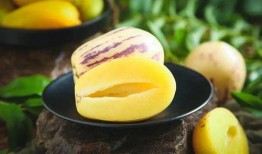 肾病能否吃茄瓜,茄瓜的适宜与禁忌