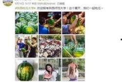 陕西免费吃瓜大学