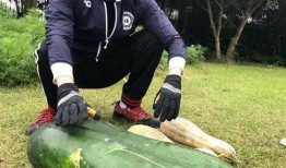 吃瓜照脸,一张吃瓜照引发的视觉盛宴