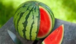 西瓜条条吃瓜,夏日消暑新宠，吃瓜乐趣无限