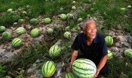 现代吃瓜,揭秘网络时代的围观文化