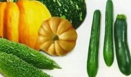 小欣吃瓜,揭秘娱乐圈那些不为人知的幕后故事