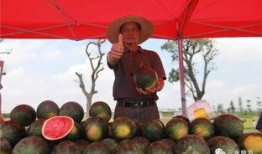 国外小孩农场吃瓜,国外小孩的夏日吃瓜盛宴