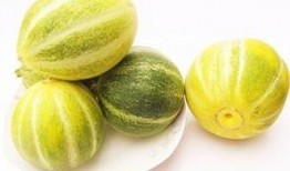 小圆瓜都怎么吃