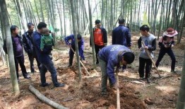 卖竹笋吃瓜,一场别开生面的美食盛宴