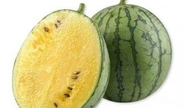 板凳围观吃瓜视频,揭秘吃瓜群众的趣味生活