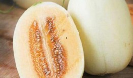 庆阳甜梨瓜怎么吃,庆阳甜梨瓜的多彩食法探索