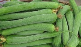 炒着吃的瓜品种,炒制佳肴的瓜类品种大盘点