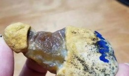 小太阳翡翠吃瓜,揭秘娱乐圈的吃瓜达人