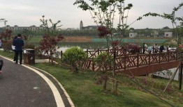 峰峰公园吃瓜事件,一场引发热议的公共道德风波